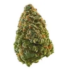 Acheter Mango Crack