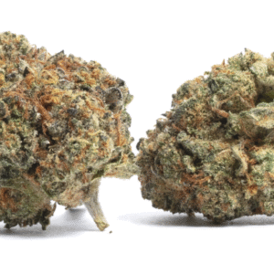 Acheter Gorilla Sherbert
